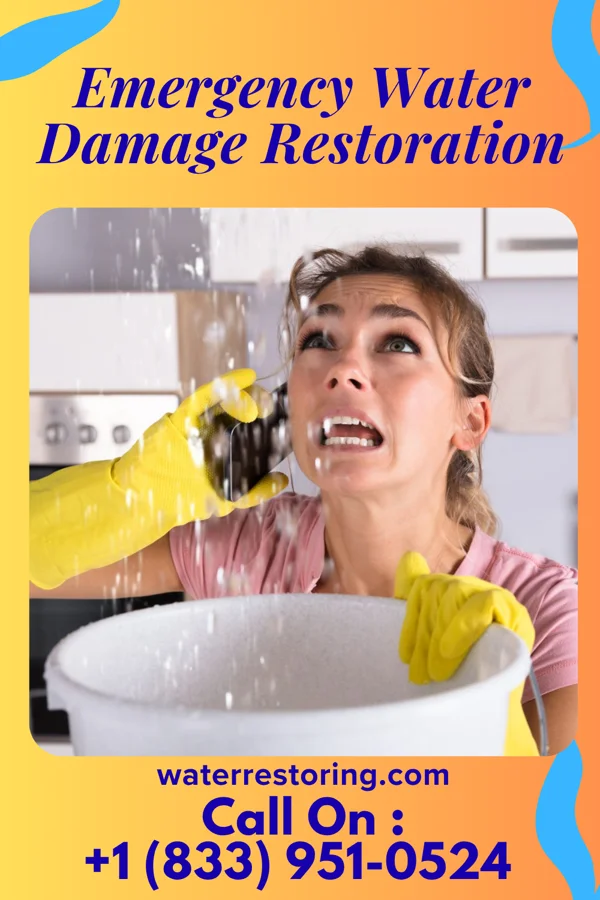 Emergency Water Damage Restoration in Easley, SC